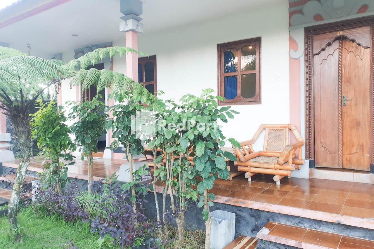 Arlina'S Guest House Kintamani Redpartner المظهر الخارجي الصورة