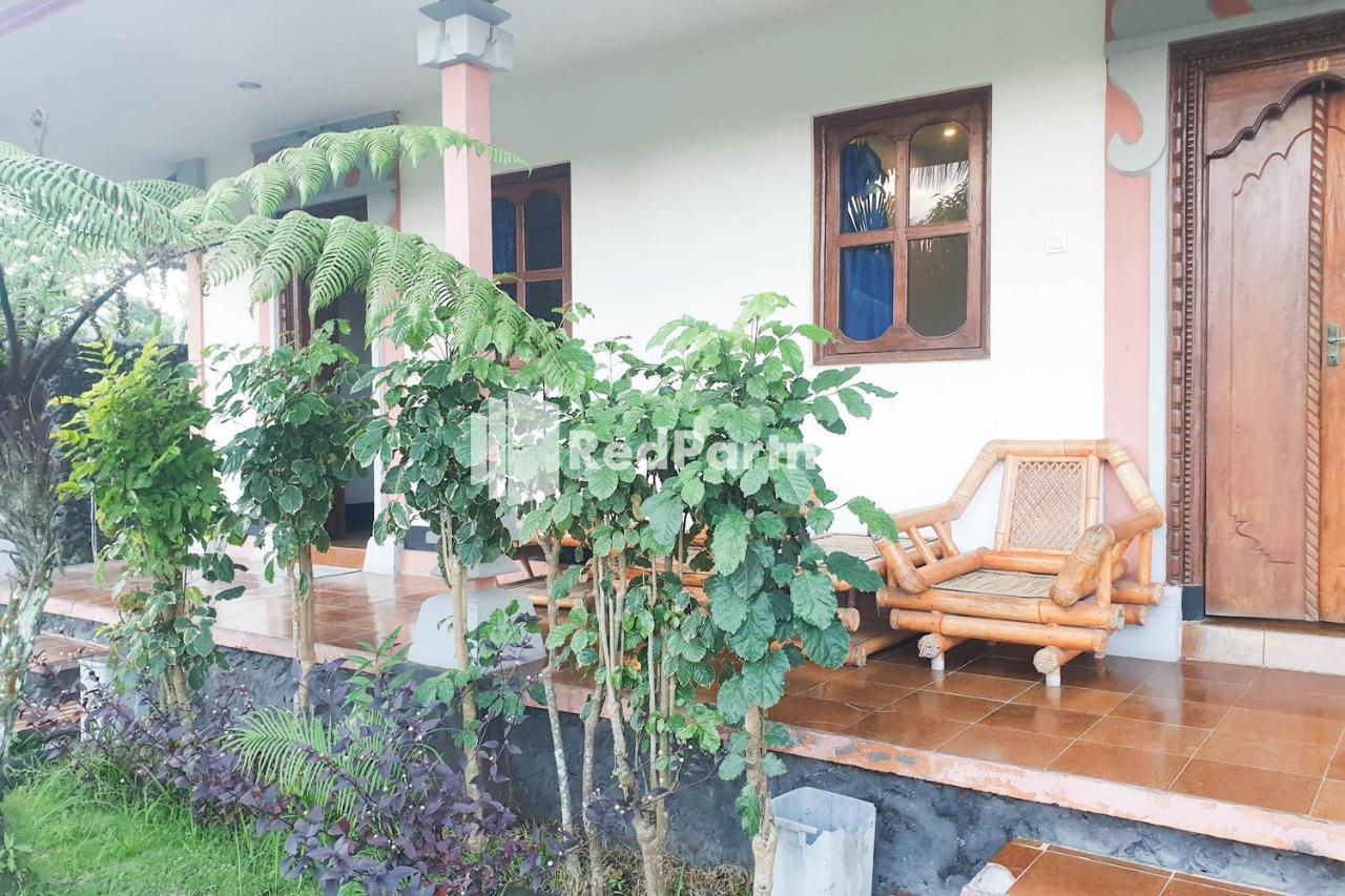Arlina'S Guest House Kintamani Redpartner المظهر الخارجي الصورة